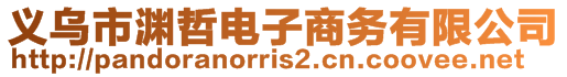 義烏市淵哲電子商務(wù)有限公司