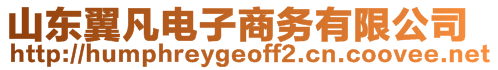 山東翼凡電子商務有限公司