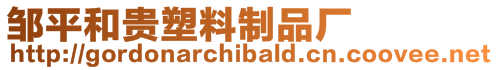 鄒平和貴塑料制品廠