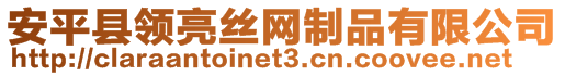 安平縣領(lǐng)亮絲網(wǎng)制品有限公司