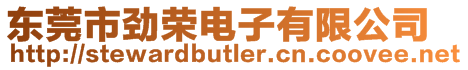 東莞市勁榮電子有限公司