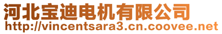 河北寶迪電機(jī)有限公司