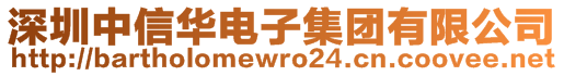 深圳中信華電子集團(tuán)有限公司