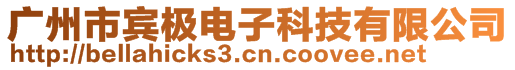 廣州市賓極電子科技有限公司