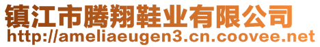 鎮(zhèn)江市騰翔鞋業(yè)有限公司