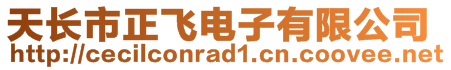 天長市正飛電子有限公司