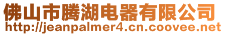 佛山市騰湖電器有限公司