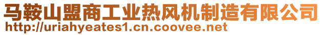 馬鞍山盟商工業熱風機制造有限公司