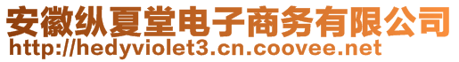 安徽縱夏堂電子商務有限公司