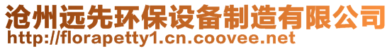 滄州遠先環(huán)保設備制造有限公司