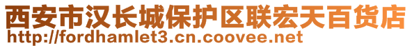 西安市汉长城保护区联宏天百货店