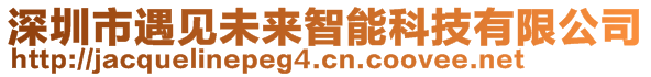 深圳市遇見(jiàn)未來(lái)智能科技有限公司