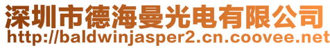深圳市德海曼光電有限公司