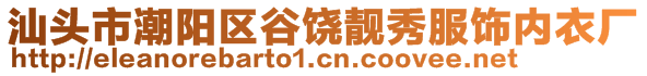 汕頭市潮陽區(qū)谷饒靚秀服飾內(nèi)衣廠