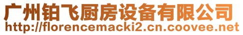 廣州鉑飛廚房設備有限公司