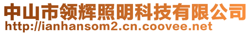 中山市領(lǐng)輝照明科技有限公司