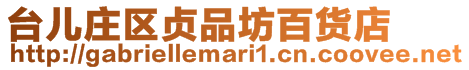 臺兒莊區貞品坊百貨店