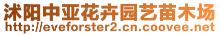 沭陽(yáng)中亞花卉園藝苗木場(chǎng)