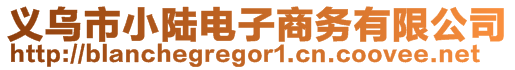 义乌市小陆电子商务有限公司