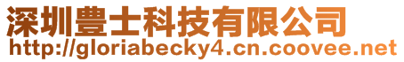 深圳豊士科技有限公司