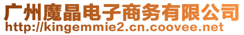 廣州魔晶電子商務(wù)有限公司