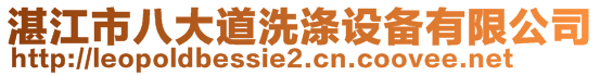 湛江市八大道洗滌設(shè)備有限公司