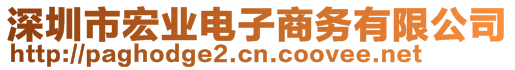 深圳市宏业电子商务有限公司