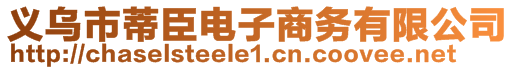 義烏市蒂臣電子商務(wù)有限公司