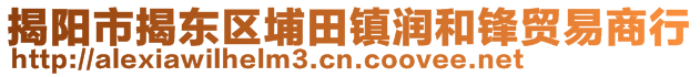 揭陽市揭東區埔田鎮潤和鋒貿易商行