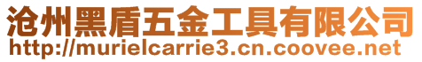 滄州黑盾五金工具有限公司