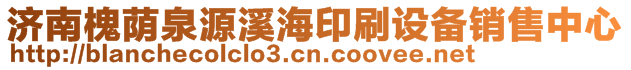 濟南槐蔭泉源溪海印刷設備銷售中心