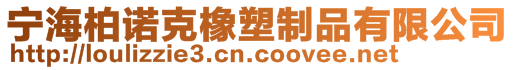 寧海柏諾克橡塑制品有限公司