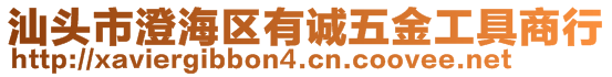 汕頭市澄海區(qū)有誠五金工具商行