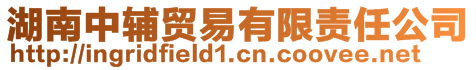 湖南中輔貿易有限責任公司
