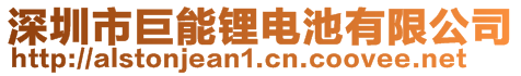 深圳市巨能锂电池有限公司