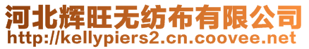 河北輝旺無紡布有限公司