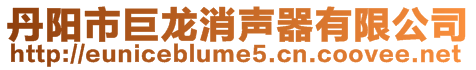 丹陽市巨龍消聲器有限公司