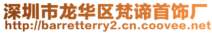 深圳市龍華區(qū)梵諦首飾廠