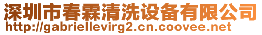 深圳市春霖清洗設(shè)備有限公司