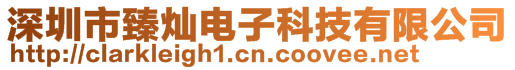 深圳市臻燦電子科技有限公司