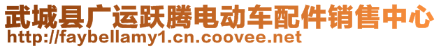 武城縣廣運(yùn)躍騰電動(dòng)車配件銷售中心