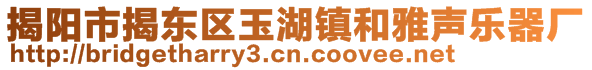 揭陽市揭東區玉湖鎮和雅聲樂器廠