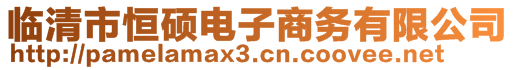 臨清市恒碩電子商務(wù)有限公司