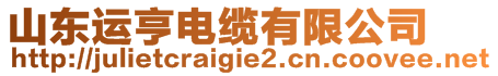 山東運(yùn)亨電纜有限公司