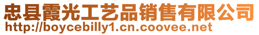 忠縣霞光工藝品銷售有限公司