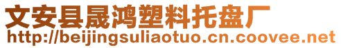 文安县晟鸿塑料托盘厂