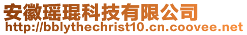 安徽瑤琨科技有限公司