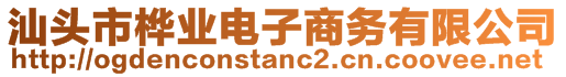 汕頭市樺業(yè)電子商務(wù)有限公司