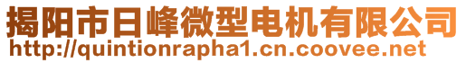 揭阳市日峰微型电机有限公司