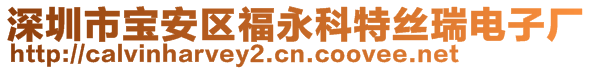 深圳市寶安區(qū)福永科特絲瑞電子廠